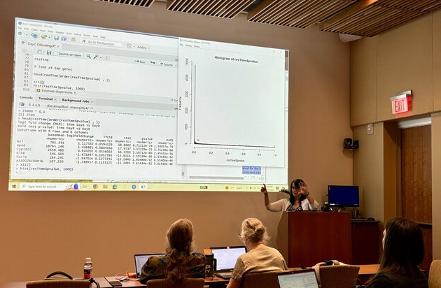 Jenny Drnevich teaching at the Carpentries workshop